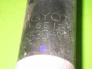 Stoßdämpfer hinten rechts TOYOTA IQ (_J1_) 1.0 (KGJ10_) 4853074010