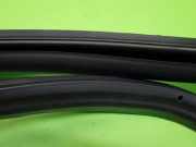 Türgummi Türdichtung hinten links TESLA MODEL 3 (5YJ3) EV AWD