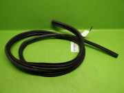 Türgummi Türdichtung vorne links FORD FOCUS II Cabriolet 2.0 1517683