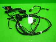 Kabelstrang Kabelbaum Tür vorne links VW POLO (6R, 6C) 1.2 TSI 6R1971120GE