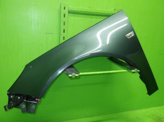 Kotflügel vorne links OPEL INSIGNIA Stufenheck 2.0 Turbo 4x4 Bild Kotflügel vorne links OPEL INSIGNIA Stufenheck 2.0 Turbo 4x4