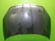Motorhaube SKODA FABIA 1.2 TSI 5J0823031B