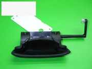 Türgriff vorne rechts außen PEUGEOT 206+ (T3E) 1.4 HDi eco 70 9101N7