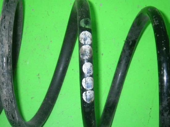 Feder vorne rechts VW LUPO (6X1, 6E1) 1.0 1J0411105AA Bild Feder vorne rechts VW LUPO (6X1, 6E1) 1.0 1J0411105AA