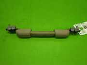 Haltegriff Dach vorne rechts NISSAN (DATSUN) X-TRAIL (T30) 2.2 Di 4x4 739409H300