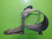 Radhausschale vorne links RENAULT VEL SATIS (BJ0_) 2.2 dCi (BJ0E, BJ0F) 8200574463