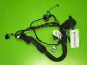 Kabelstrang Kabelbaum Tür hinten links MERCEDES-BENZ M-KLASSE (W164) ML 320 CDI 4-matic (164.122) A1644407110