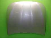 Motorhaube BMW 5 Touring (F11) 530 d xDrive 41617207194
