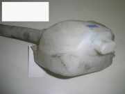 Scheibenwischbehälter Wischwasserbehälter CITROEN C3 I (FC_) 1.4 HDi 9642546080