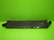 Ladeluftkühler FORD S-MAX (WA6) 2.0 TDCi 6G91-91440-FC