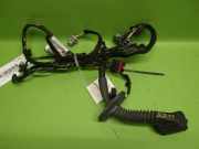Kabelstrang Kabelbaum Tür links RENAULT TWINGO II (CN0_) 1.2 16V (CN04, CN0A, CN0B) 241247805R