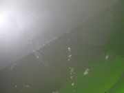 Tür hinten links MITSUBISHI OUTLANDER II (CW_W) 2.2 DI-D 4WD