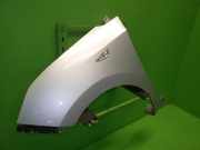 Kotflügel vorne links HYUNDAI i10 (IA) 1.0