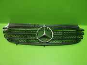 Kühlergrill MERCEDES-BENZ VITO / MIXTO Kasten (W639) 111 CDI 4x4 A6398800185