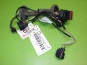 Kabelstrang Kabelbaum Tür hinten links FORD FOCUS (DAW, DBW) 1.6 16V 98AG14A584CBF