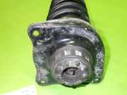 Federbein hinten rechts AUDI (NSU) 100 (4A, C4) 2.3 E