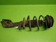 Federbein vorne rechts RENAULT LAGUNA II (BG0/1_) 1.8 16V (BG06, BG0J, BG0M) 8200657093
