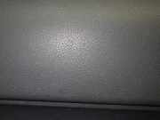 Türverkleidung rechts FORD TRANSIT CONNECT (P65_, P70_, P80_) 1.8 Di 4T16V23942