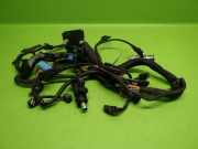 Kabelstrang Kabelbaum OPEL CROSSLAND X (P17) 1.5 Turbo D (08, 68) 255000311