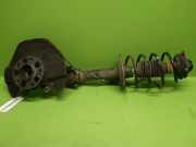 Federbein vorne links MERCEDES-BENZ A-KLASSE (W169) A 180 (169.032, 169.332) A1693201430