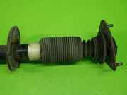 Stoßdämpfer vorne rechts MITSUBISHI COLT CZC Cabriolet (RG) 1.5 801402000197