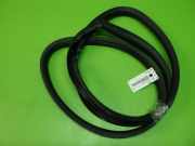 Türgummi Türdichtung vorne links RENAULT TWINGO II (CN0_) 1.2 16V (CN04, CN0A, CN0B)