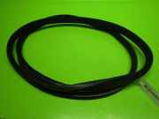 Türgummi Türdichtung hinten links JAGUAR XF (_J05_, CC9) 2.2 D C2Z 32599