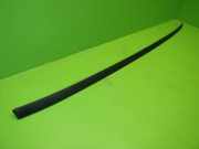 Dachzierleiste links CITROEN C3 Picasso 1.6 HDi