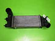 Ladeluftkühler PEUGEOT 406 Break (8E/F) 2.0 HDi 110 9637809480