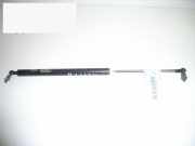 Gasdruckfeder Dämpfer hinten rechts HYUNDAI ACCENT I (X-3) 1.3 i 12V 81780-22200