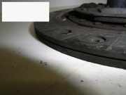Kupplungsscheibe OPEL ASTRA G CC (T98) 1.6 (F08, F48) 664234