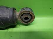 Stoßdämpfer hinten rechts FIAT DOBLO (119) 1.3 D Multijet 381700311932