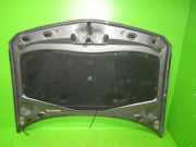Motorhaube RENAULT LAGUNA II Grandtour (KG0/1_) 2.2 dCi
