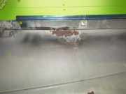 Kotflügel vorne links RENAULT MEGANE I (BA0/1_) 1.6 e (BA0F, BA0S)