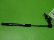 Gasdruckfeder Dämpfer vorne links TESLA MODEL 3 (5YJ3) EV AWD 108958700C