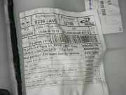 Türverkleidung vorne rechts RENAULT GRAND SCÉNIC II (JM0/1_) 2.0