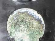 Radioantenne CITROEN C5 I Break (DE_) 2.2 HDi (DE4HXB, DE4HXE)