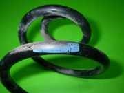 Feder hinten links NISSAN (DATSUN) MICRA III (K12) 1.2 16V 55020AX601