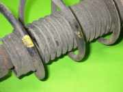 Federbein hinten links MAZDA 323 P V (BA) 1.3 16V