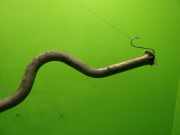 Auspufftopf hinten HYUNDAI H-1 Cargo (TQ) 2.5 CRDi