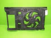 Lüfter CITROEN BERLINGO Kasten (B9) 1.6 HDi 75 1253K4