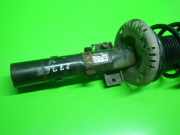 Federbein vorne rechts SKODA ROOMSTER (5J) 1.6 6Q0413031BL