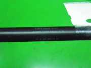 Gasdruckfeder Dämpfer hinten links MERCEDES-BENZ S-KLASSE (W220) S 320 CDI (220.026, 220.126) 2208800329