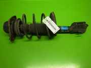 Federbein vorne links FIAT BRAVA (182) 1.4 12 V (182.BA) 161500200789