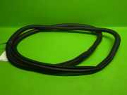 Türgummi Türdichtung hinten links JEEP RENEGADE SUV (BU, B1, BV) 1.3 T-GDi 4x4