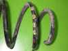 Feder vorne links SKODA ROOMSTER (5J) 1.6 TDI 6Q0411105AF Bild Feder vorne links SKODA ROOMSTER (5J) 1.6 TDI 6Q0411105AF