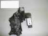 Halter Lichtmaschine/Servopumpe FIAT BRAVO I (182) 2.0 HGT 20V (182.AD)