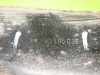 Querlenker vorne links OPEL ASTRA H (L48) 1.6 90496036 Bild Querlenker vorne links OPEL ASTRA H (L48) 1.6 90496036
