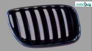Kühlergrill R 51137113734 M Chromrahmen 03 51137113734 BMW X 5