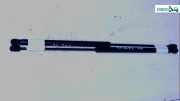 Gasdruckfeder VO L R Satz LC BJ 07 811813E011 Kia Sorento Bj 2007